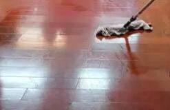 辦公區(qū)域保潔要注意哪些方面呢？