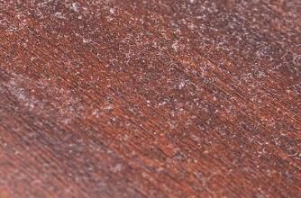 對(duì)于家里灰塵的清理，有什么方法嗎？