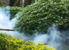 四害消殺完成后，需要做哪些鞏固工作呢？